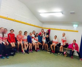 Inch Camogie 2016